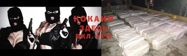 молекула духа Балахна